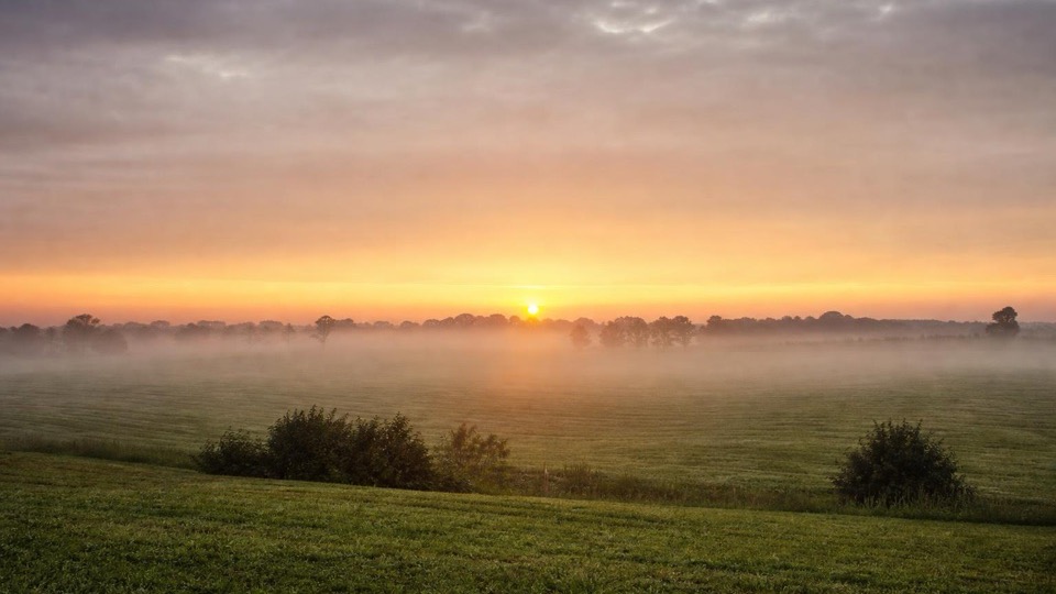 First light of dawn breaking over quiet fields under a soft grey and gold sky