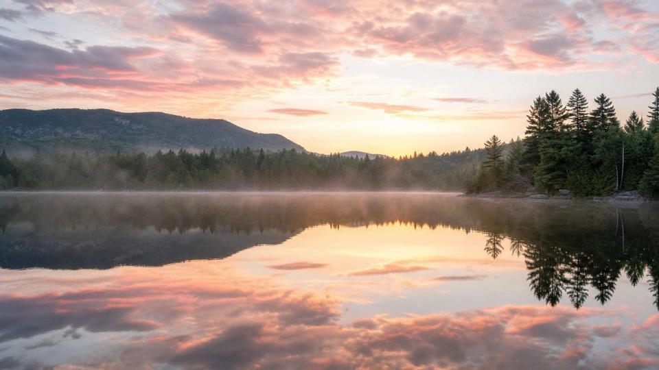 A perfectly still lake at dawn reflecting soft pink and gold morning sky